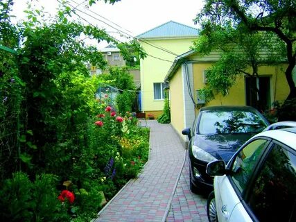 Судак бирюзовая