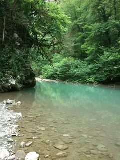 Река хоста
