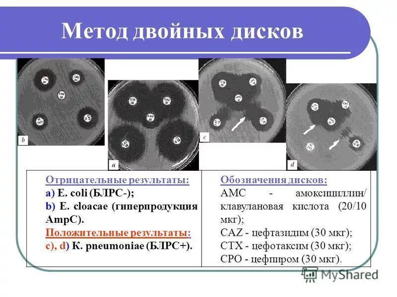 Метод дисков определение. Метод двойных дисков для блрс. метод дисков микробиология. метод стандартных дисков микробиология. метод бумажных дисков микробиология.