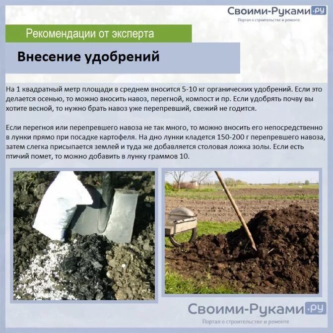 Чем удобрить землю перед посадкой картофеля