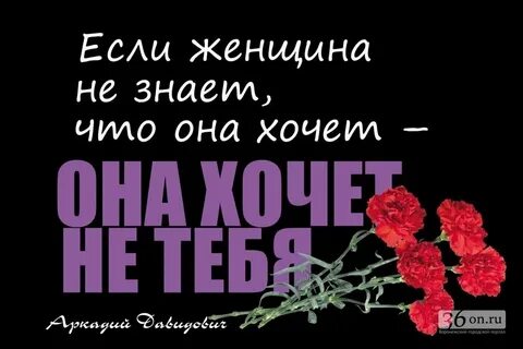 Давидович афоризмы