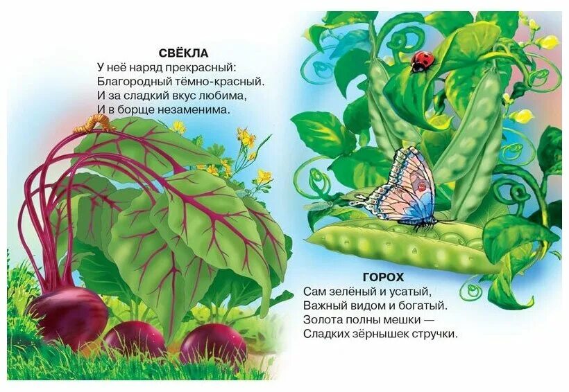 Детские стихи про огород