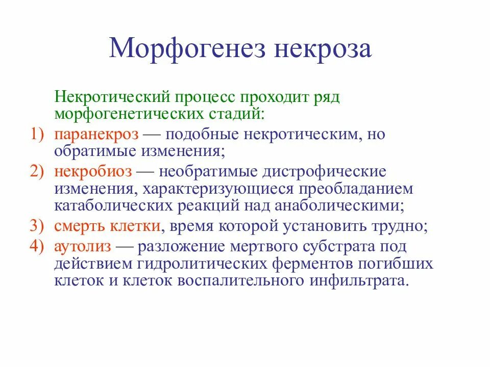 Стадии развития некроза. Стадии морфогенеза некроза. Стадии некротического процесса. Этапы некроза патанатомия. Необратимые изменения клетки