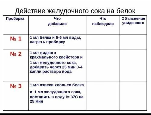 Лабораторная работа желудочный сок. Лабораторная работа 9 действие ферментов желудочного сока на белки. изучение действия желудочного сока на белки таблица. действие ферментов желудочного сока на белки таблица. воздействие желудочного сока на белок лабораторная работа.