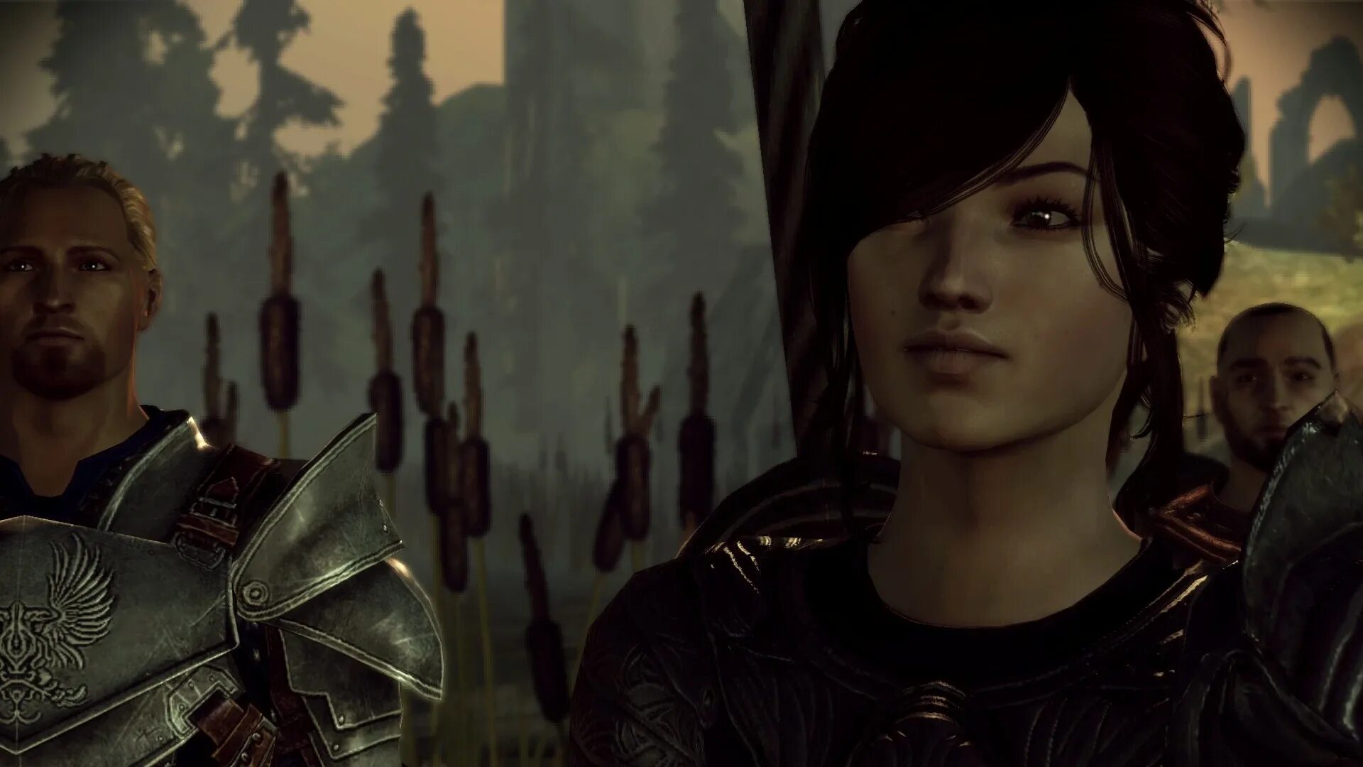 Dragon age моды 18. Ферелден dragon age. солдаты ферелдена. армия ферелдена арт.