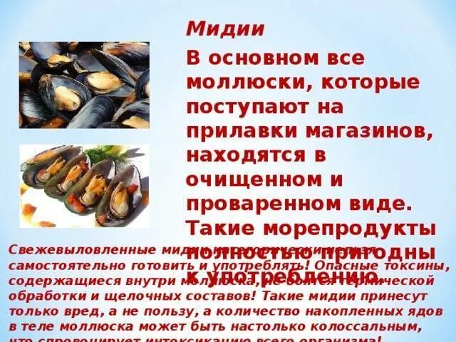 Мидии польза и вред для организма человека. Мидии маленькие. Мидии в ракушке готовые. Организм мидии. Мидии кловис.