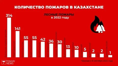 Причина пожаров 2023