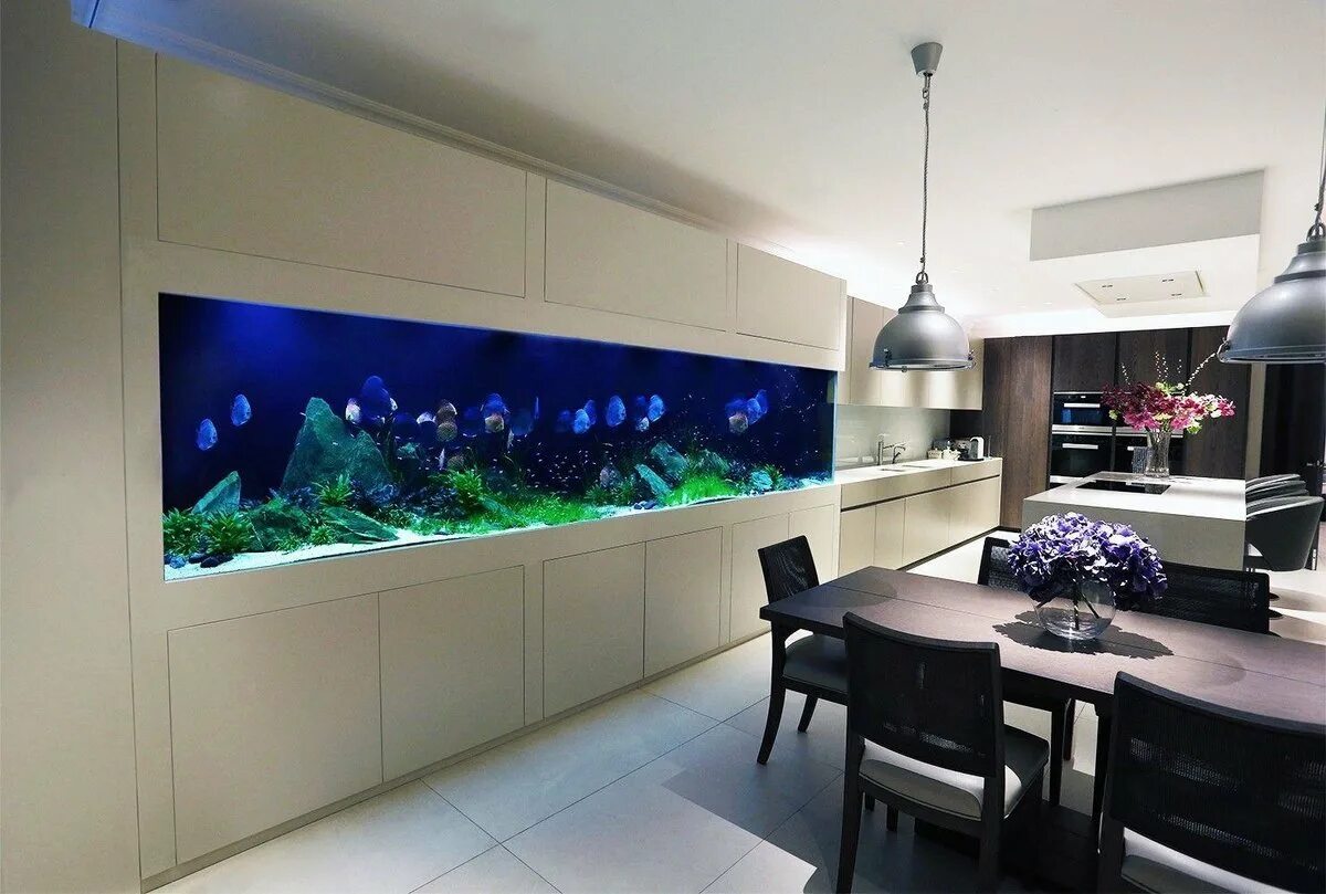 Авито большие аквариумы. Аквариум в интерьере. Аквариум в интерьере кухни. Дизайнерский аквариум. Аквариум в стене.