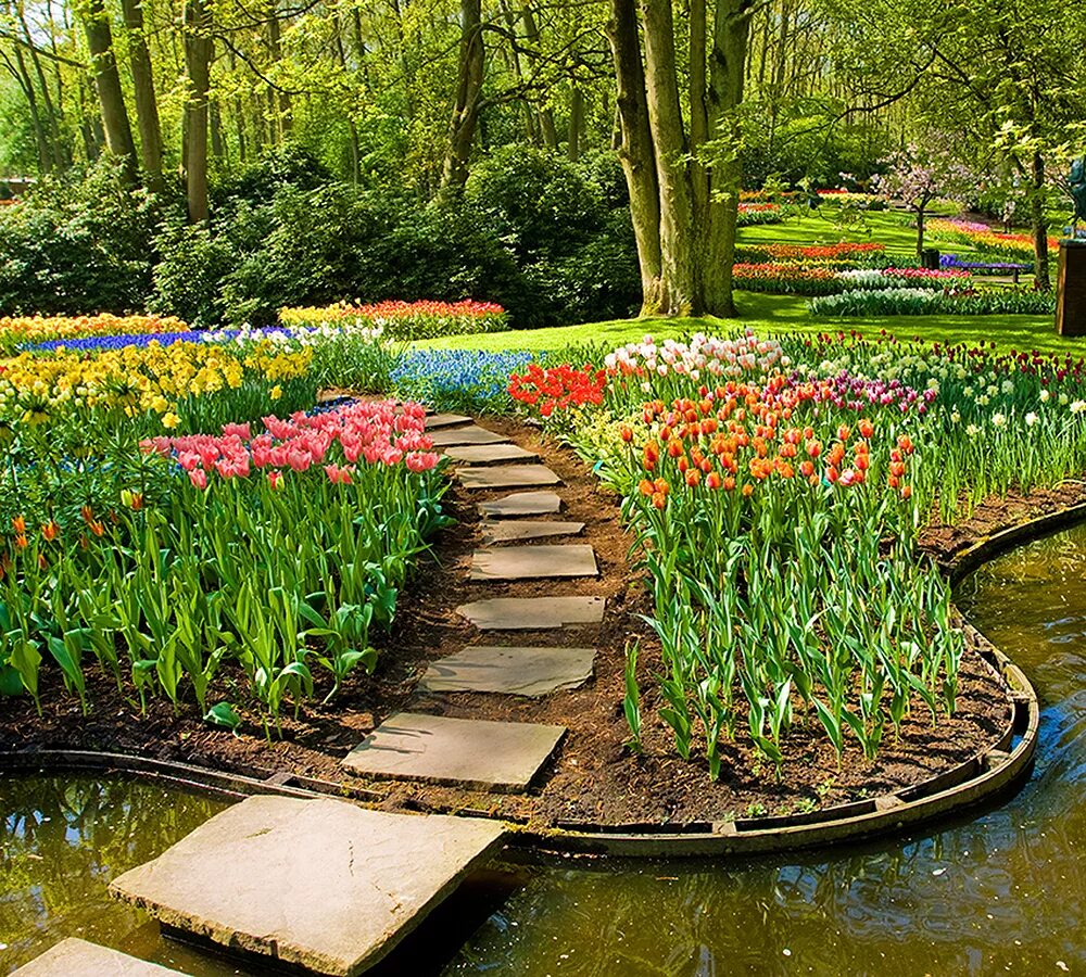 Мир сада интернет. Красивые парки. Красивый сад. Красивый парк. Цветочный сад.