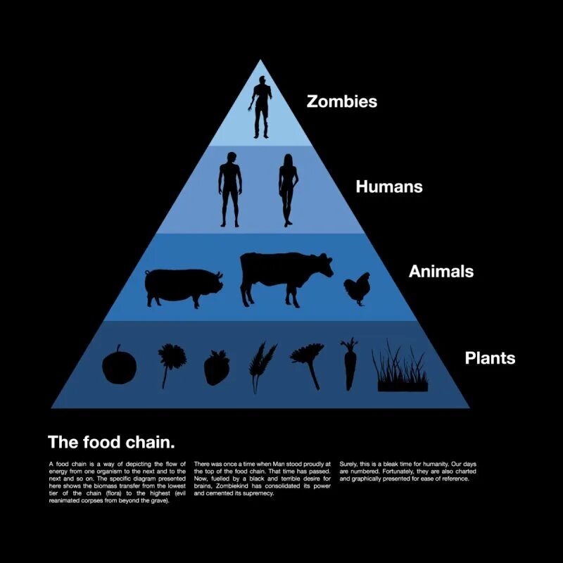 Animals more human. Человек на вершине пищевой цепи. Вершина пищевой Цепочки. Человек вершина пищевой Цепочки. Пищевая пирамида в природе.