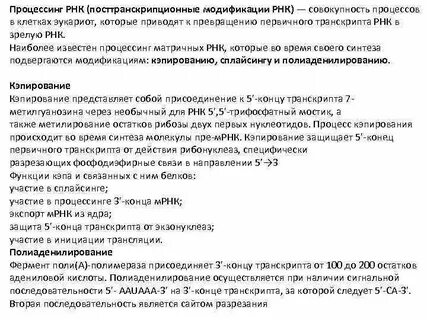 Процессинг первичного транскрипта