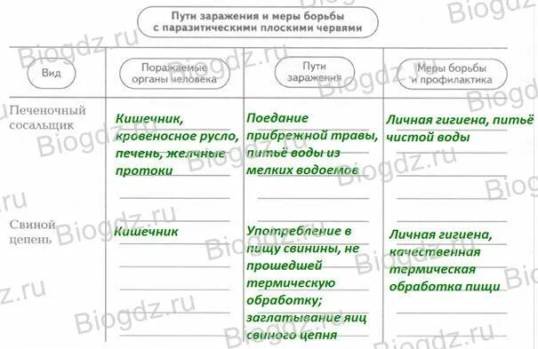 Памятка меры профилактики заражения паразитическими червями. Пути заражения паразитическими плоскими червями таблица. Схема развития печеночного сосальщика. Круглые черви паразиты человека таблица. Основной хозяин это.