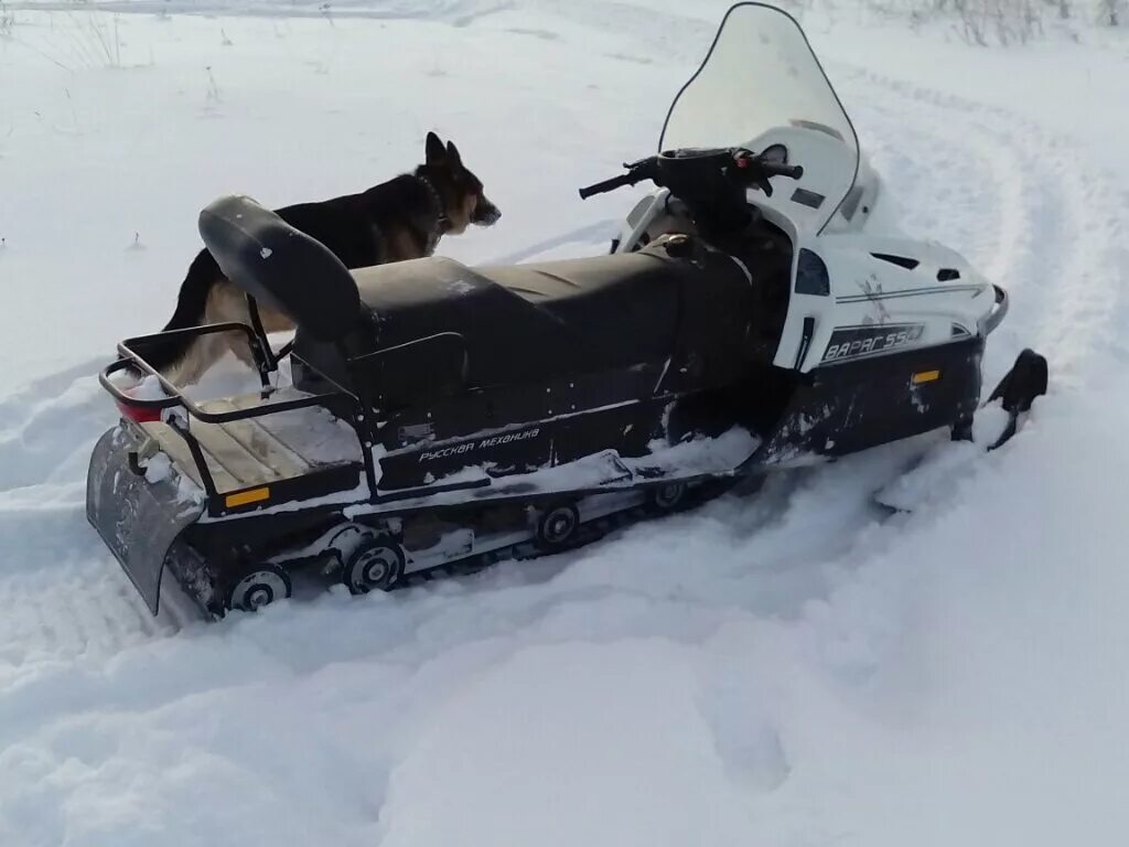 Русски снег бураны. Снегоход Тайга Варяг 550v. Двигатель Тайга Варяг 550. Тайга Варяг 500 доп фары. Снегоход Тайга Варяг 500 белый.