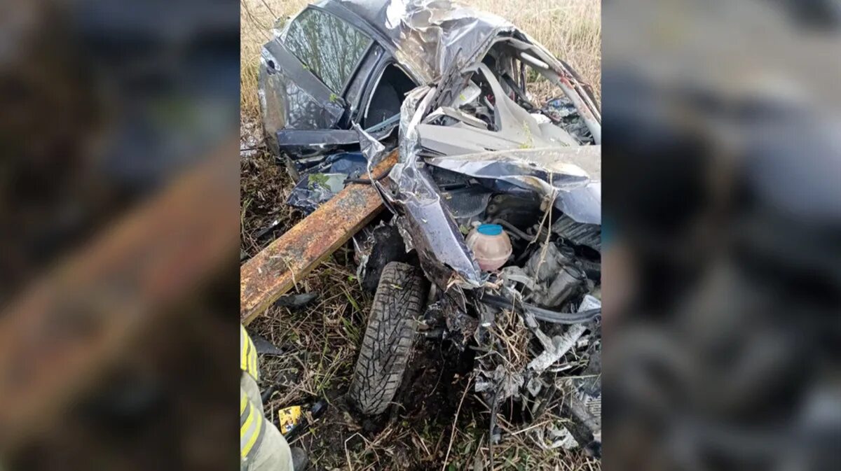 ПОГИБАЮЩЕЕ дерево. ДТП во Владимирской области.