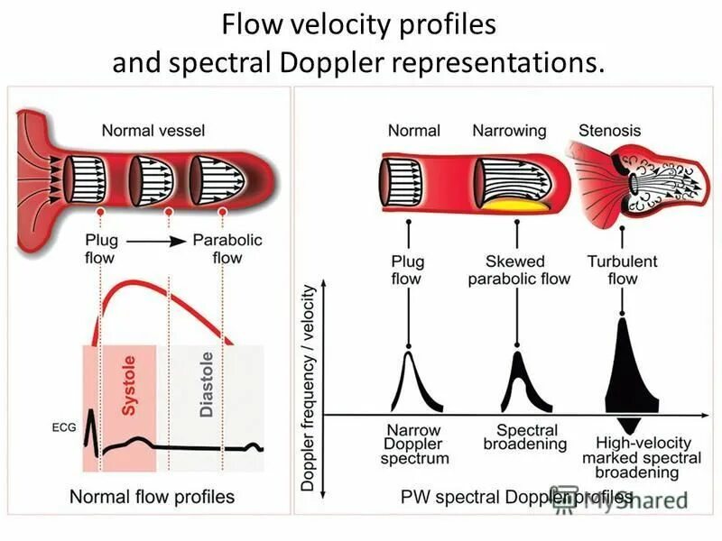 Velocity ядро. Flow velocity. velocity profile. измерительная система chief genesis velocity. flow propagation velocity.