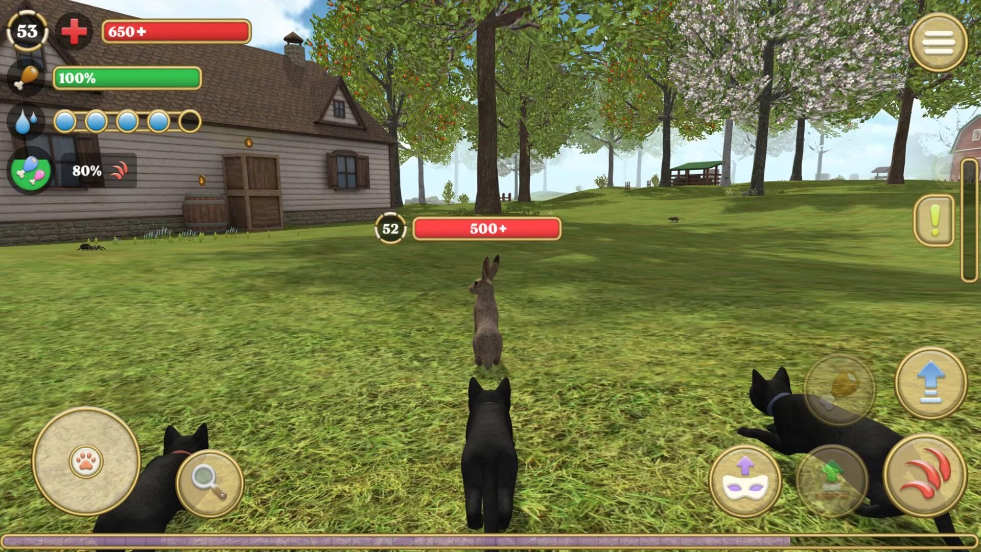 Cat simulator animal life 1.0 1.0. Кэт симулятор Энимал лайф. Игра Cats симулятор. Симулятор семьи кошек. Кошачьи игры.