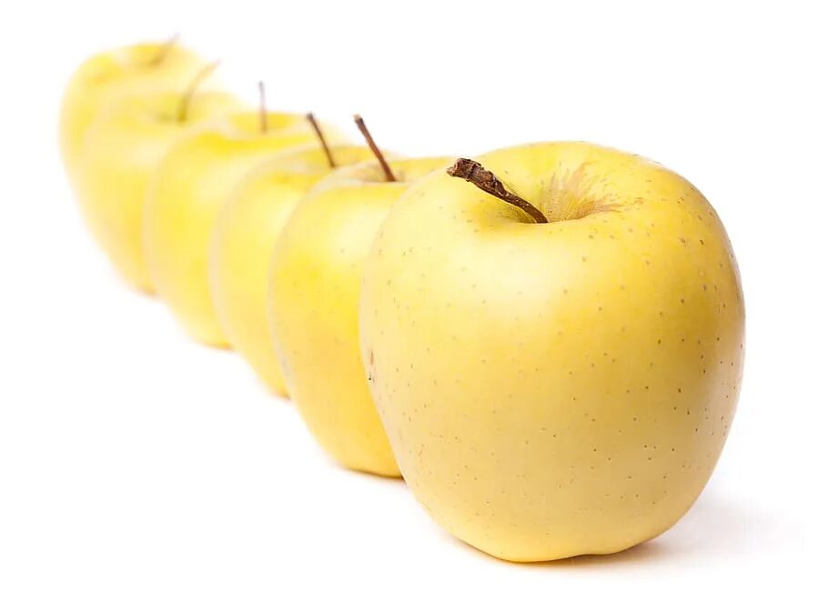 Почему яблоко желтое. Яблоки желтые. Яблоки на желтом фоне. Желтое яблоко польза. Яблоки мелкие желтые.