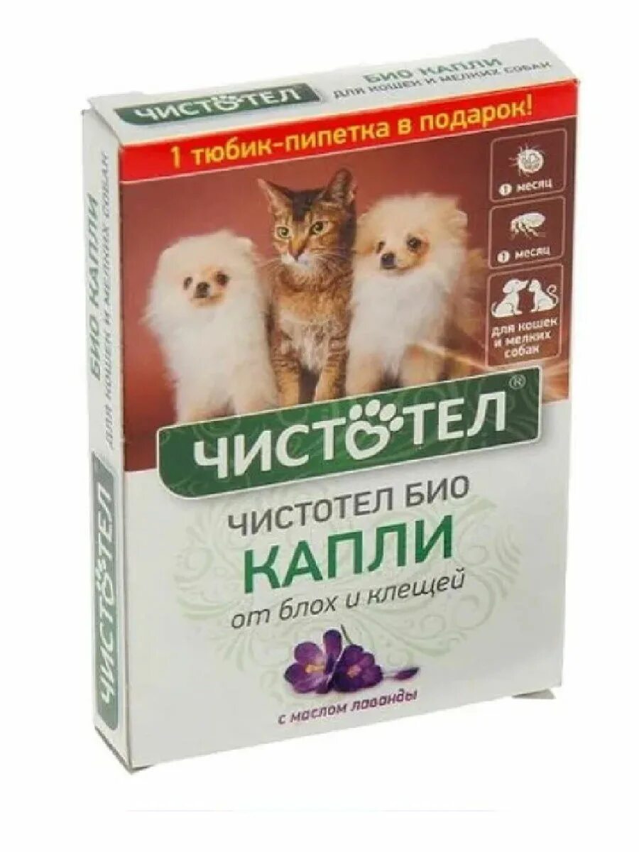 Капли от блох для собак мелких. Чистотел био ошейник для кошек и мелких собак.c513 лаванда. капли &quot;чистотел био&quot; д/кошек и мелких собак (от блох) с лавандой. чистотел био с лавандой капли для кошек и мелких собак. капли на холку чистотел био лаванда д/к. и с. c511.