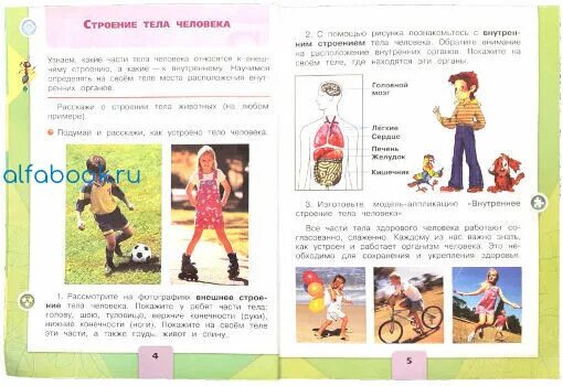 Окружающий мир 2 класс учебник страница 23. Моя неделя 2 класс. моя неделя окружающий мир 2 класс рассказ. рассказ про моя неделя окружающий мир. моя неделя окружающий мир 2 класс фоторассказ.