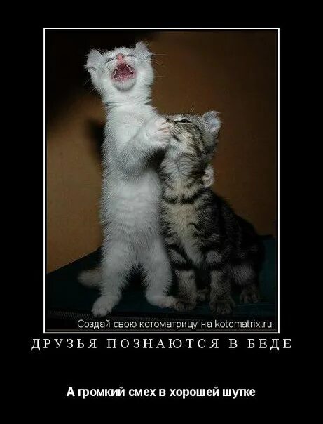 Его имя носит громкий хохот