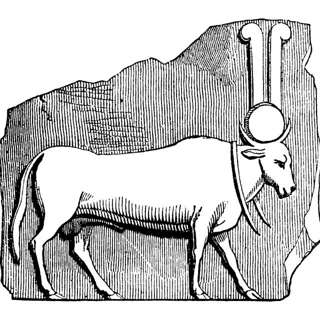 Кроссворд по истории 5 мифы и искусство древнего египта. Бог апис в древнем египте. Описание бога апис. Апис бык египет. Апис бог чего.