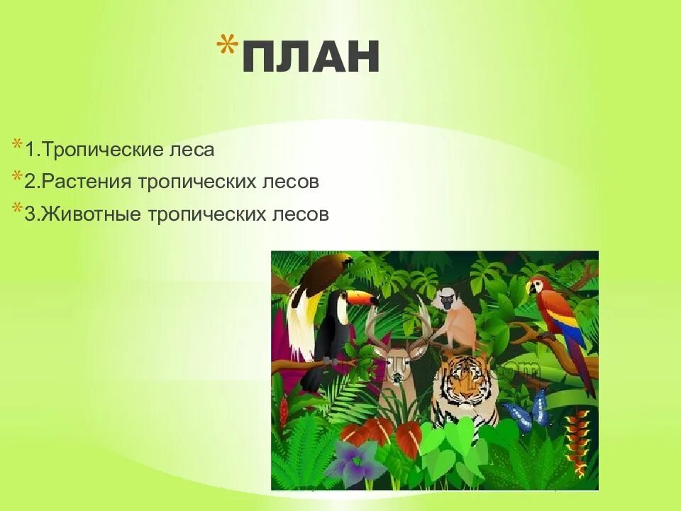 Тропические животные 1 класс. Животные тропического леса презентация. Тропический лес растения и животные. Тропические животные доклад. Тропический лес презентация.