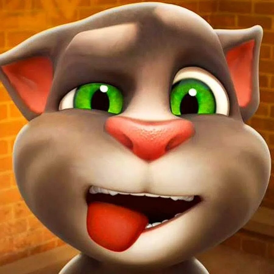 Том говорящий 1 час. Talking Tom. Talking Tom Cat. Talking Tom 2010. Минимульты говорящий том Анджела.