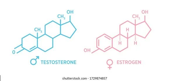 Эстрадиол это эстроген. Тестостерон и эстроген. Эстрадиол и тестостерон. Эстрадиол Скелетная формула. Гормон эстроген у женщин.