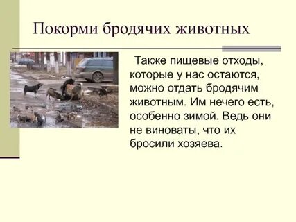 Они не виноваты