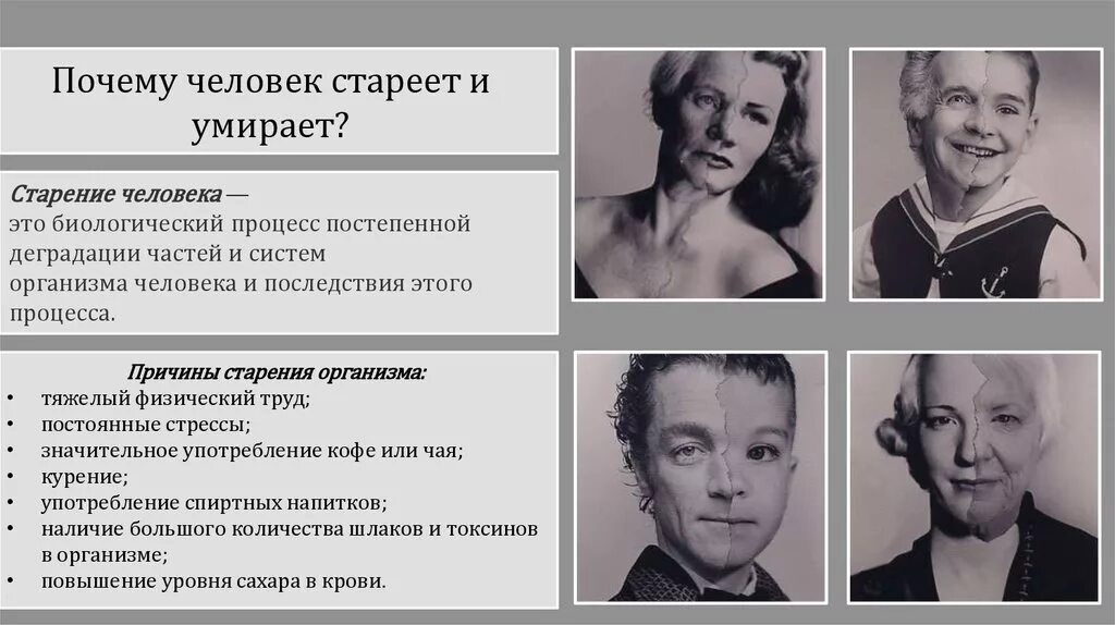 Причины старения человека. Почему человек стареет. Причины старости человека.. Причины старения организма человека. К старости вообще национальные признаки рассасываются