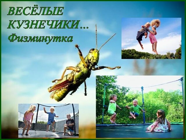 Кузнечик хабаровск. Веселый кузнечик хабаровск. веселый кузнечик. физкультминутка кузнечики. физкультминутка про паука.