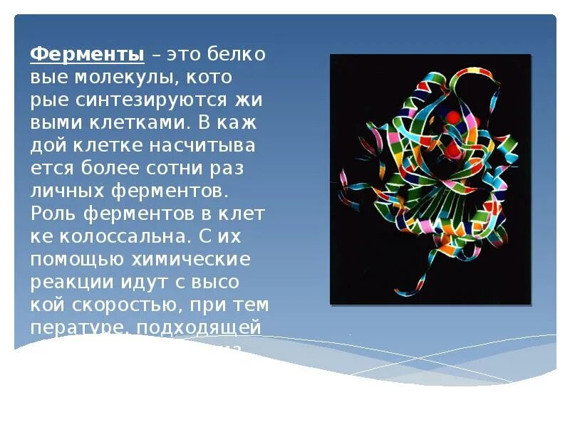 Ферменты презентация. Сообщение на тему ферменты. Ферменты белковые молекулы. Роль ферментов в живой клетке.