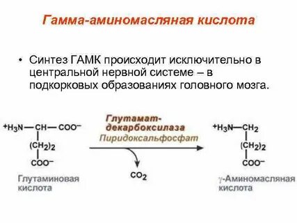 Гамма аминомасляная