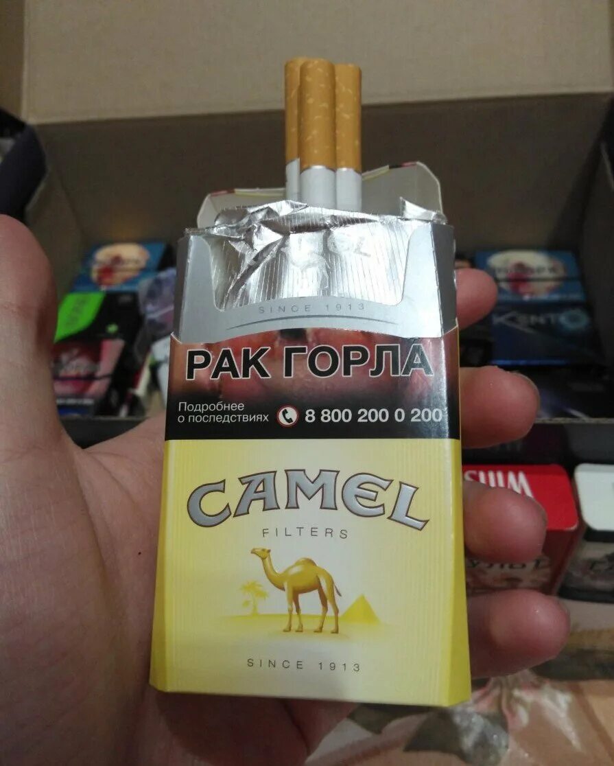 Вкус кэмел компакт. Camel Yellow сигареты. Сигареты кэмел оригинал желтый (Camel Original Filters). Сигареты Camel Yellow 218. Сигареты кэмел желтый 2022.