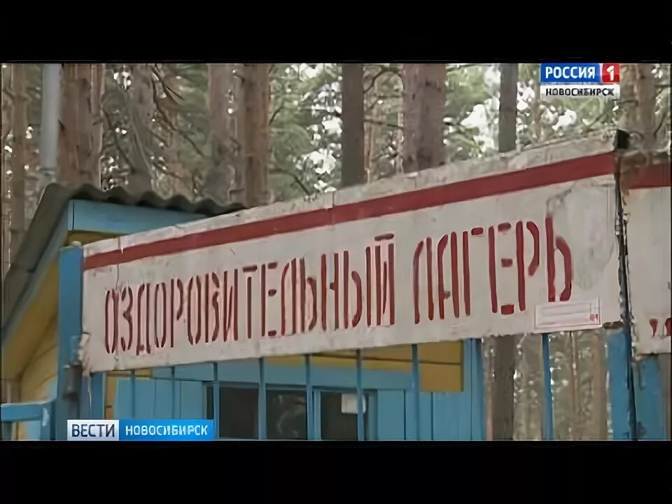 Лагерь зелёная поляна морозово. Пионерлагерь незабудка новосибирск. Лагерь пионер бердск. Пионерский лагерь новосибирск. Пионерский лагерь вти им дзержинского.