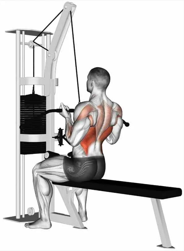 Powerline тренажер body solid. Тяга верхнего блока широким хватом техника. Тяга горизонтального блока с широкой рукоятью. Тяга нижнего блока обратным хватом. Тяга вертикального блока широким параллельным хватом.