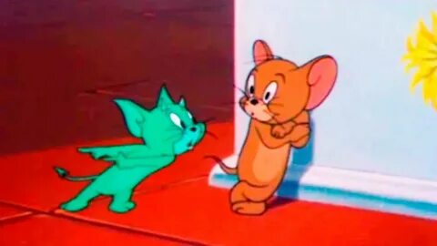 Jerry kitty