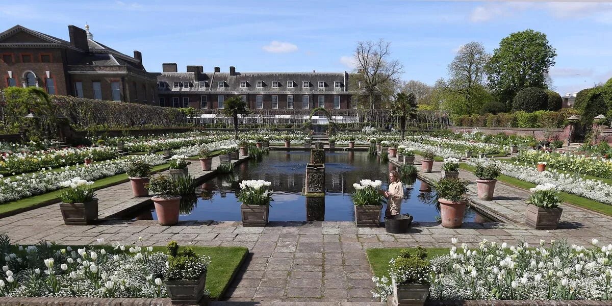 Сад принцесс. Розарий в монако. Дворец рапунцель. Сказочный розовый замок. Принцессы из мультфильмов.