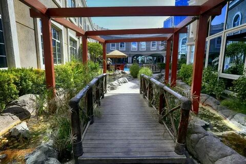 Шарджа premiere hotel resort