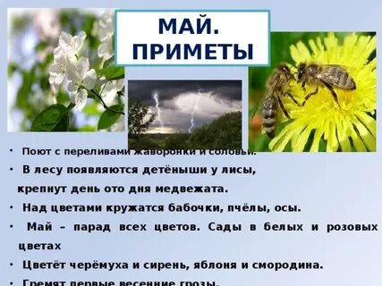 Она на первой не примет
