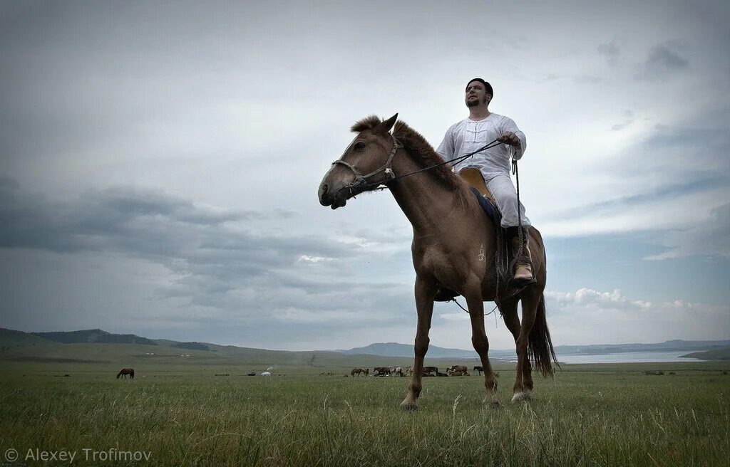 Лошадиная сила. Монгол на лошади. Коней на переправе не меняют. Дарят лошадь. Как меняет окрас у лошадей.