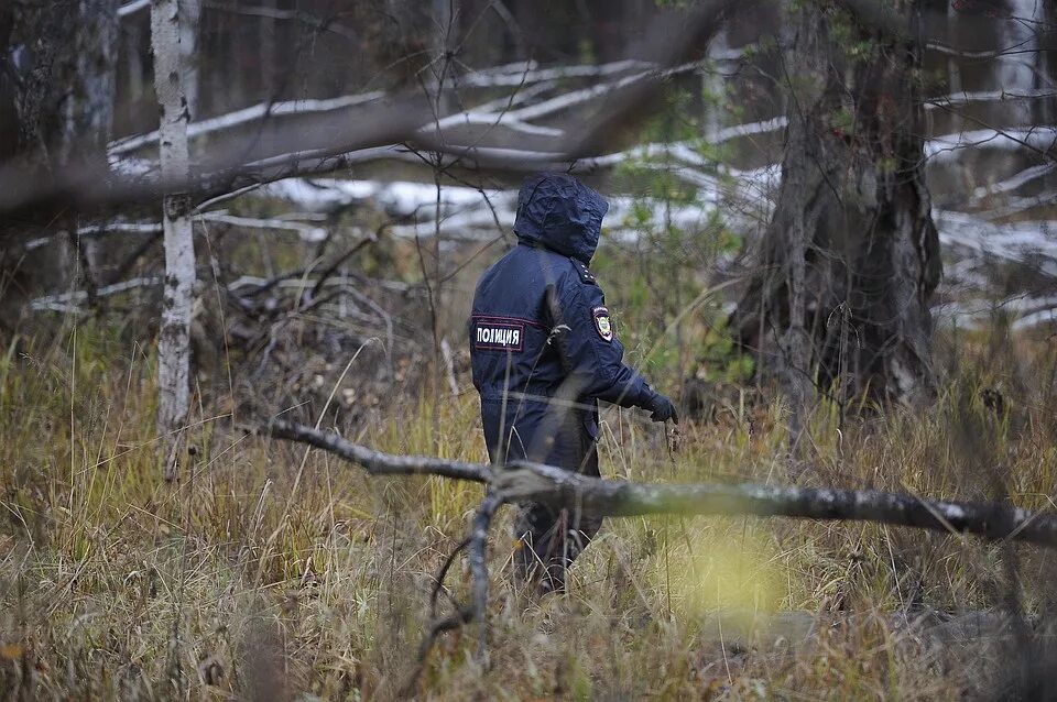 Новости про пропавших детей. Волонтеры ищут в лесу. Убили женщину в Винновской роще.