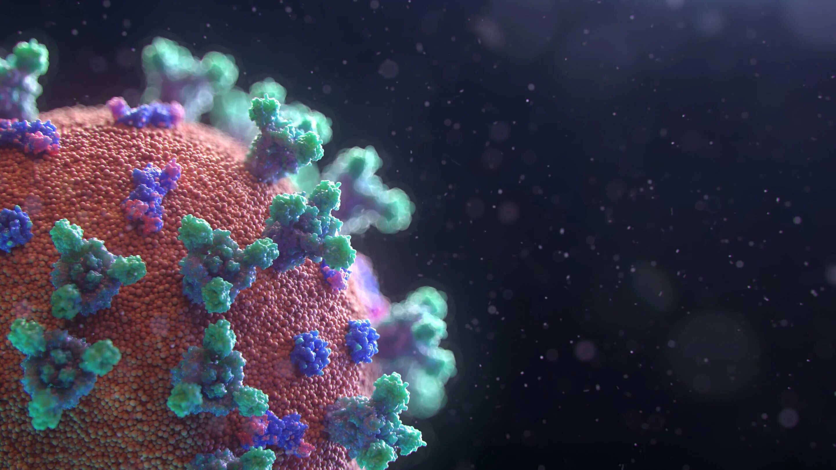 Ковид coronavirus. Коронавирус Covid-19. Бактерия Covid-19. Бактерия ковид 19.