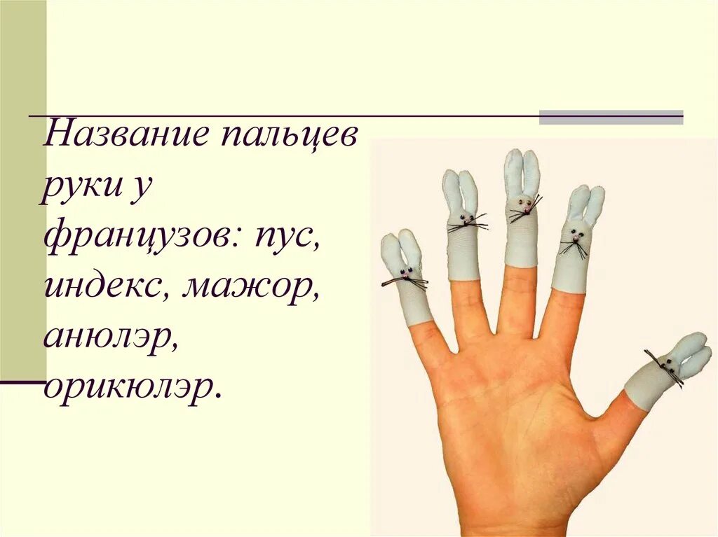 Как называется мизинец