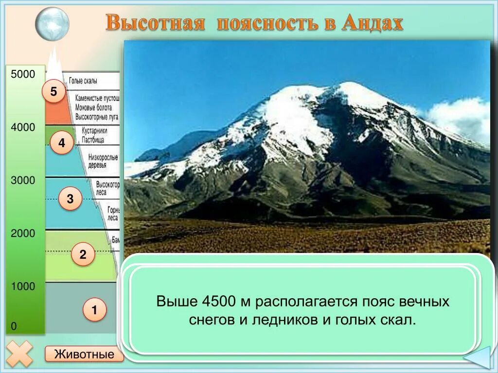 Годовые суммы осадков в андах. Патагонские Анды Высотная поясность. Высотная поясность в Андах 7 класс. Высотная поясность в Андах на карте. Высотная поясность в горах.