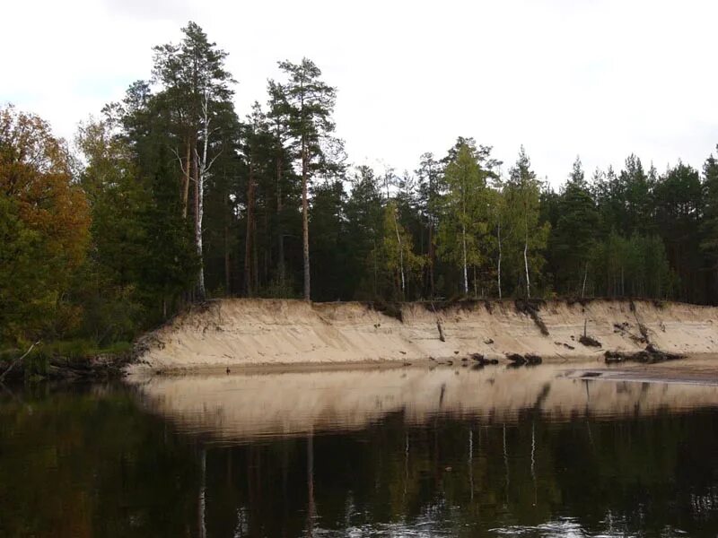 Брыкин бор рязанская область. Пра. Ривьера парус истринское водохранилище. Пра в начале. Пра в начале.