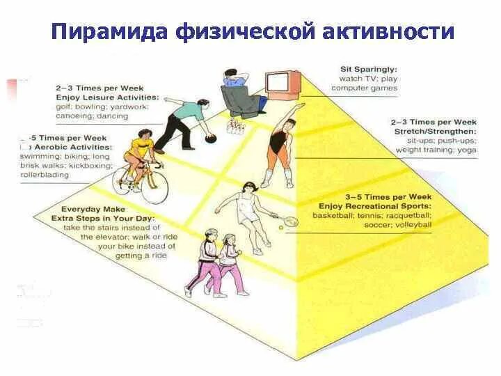Направление физической активности. Пирамида активности. виды физической активности. пирамида физической деятельности. пирамида физической активности воз.