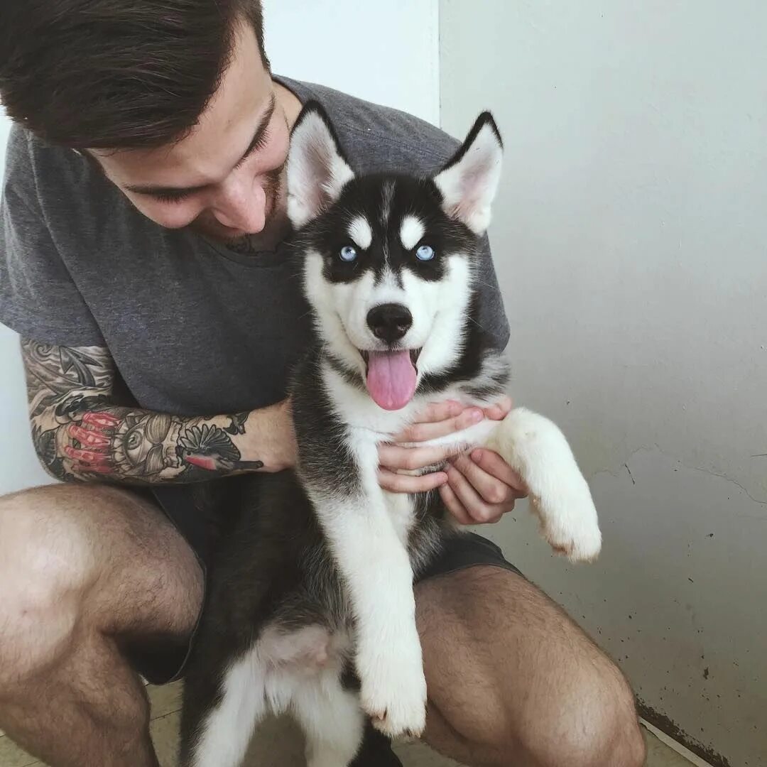 Хаски ая. Хаски рэпер фотосессия. Хаски ая. Внешность хаски. Хаски триколор.