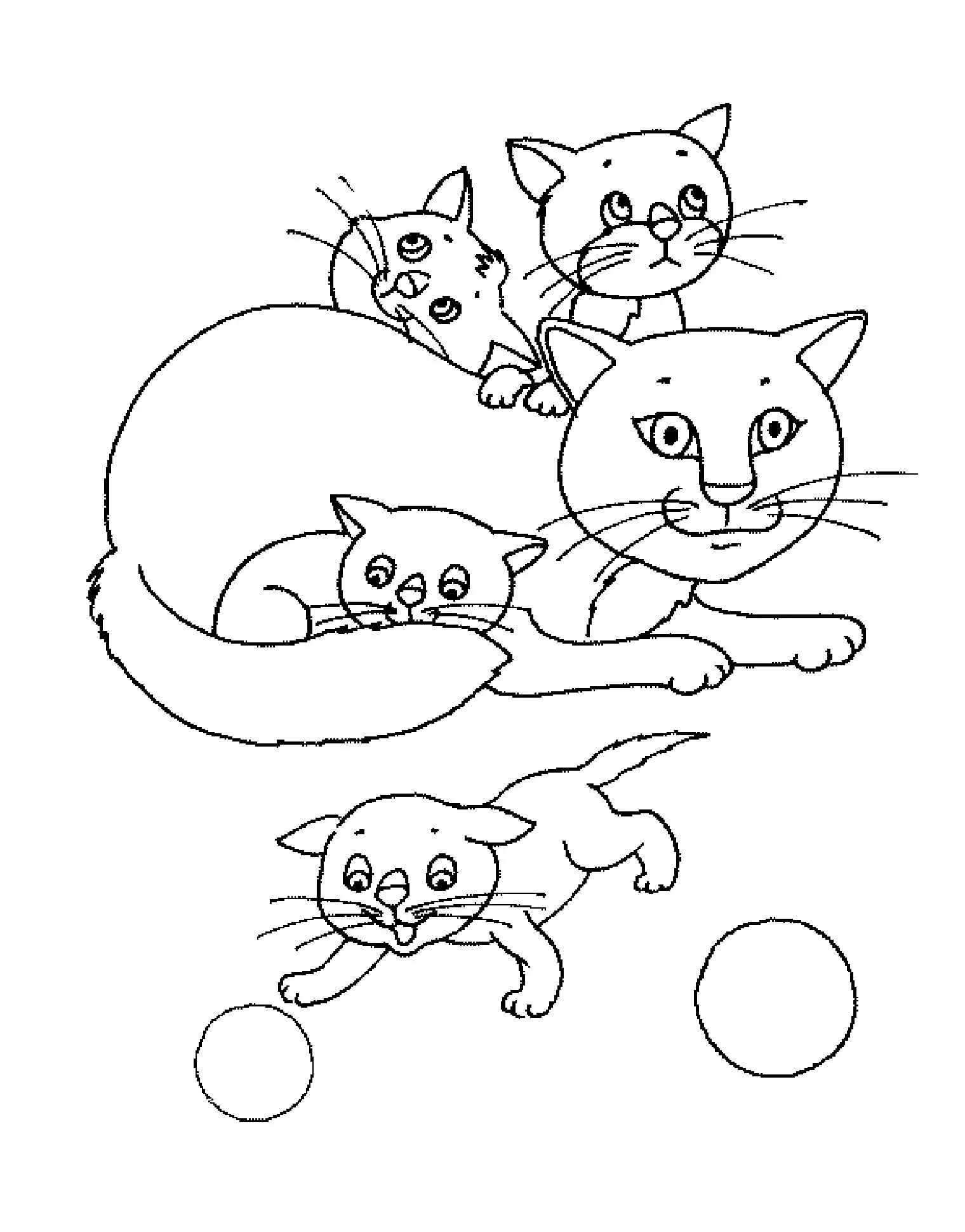 Кошки. Раскраска. Котенок. Раскраска. Раскраска кошка с котятами. Кошка раскраска для детей. Раскраска котенок для детей 4 5 лет