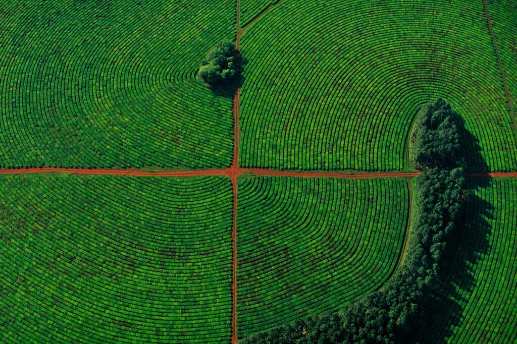 Сверху изображение. Yann Arthus-Bertrand. Фотограф Ян Артюс-Бертран. Аэрофотографии земли Ян Артюс. Ян Артюс Бертран (звезда Востока).